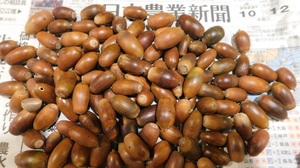 DSCN8184.JPG
